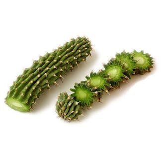 hoodia gordonia - samenstelling Reduslim