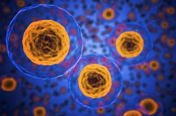 Hoe verloopt het gewichtsverliesproces